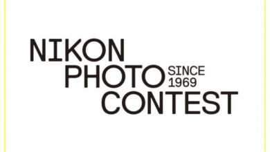 Фото - Фотоконкурсы, Nikon Photo Contest 2018–2019