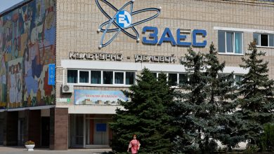 Фото - Эксперт исключил повреждение реакторов Запорожской АЭС из-за их отключения от электросети
