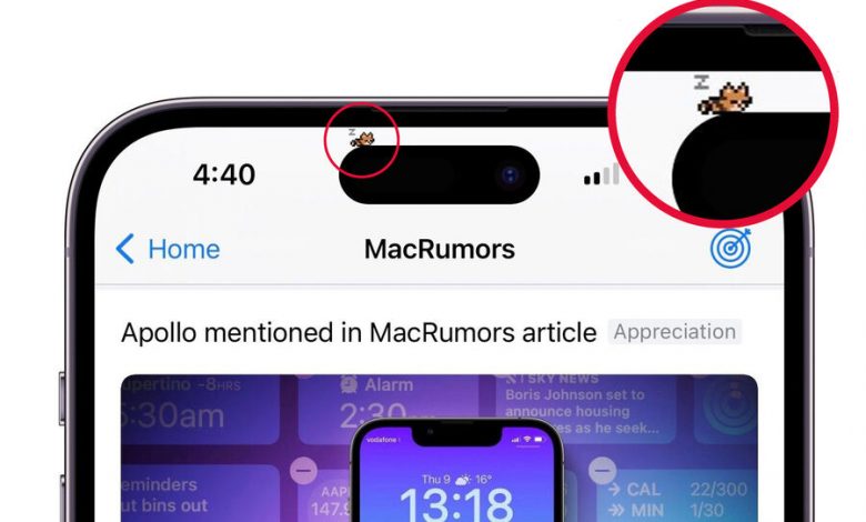 Фото - Разработчик превратил новый вырез в iPhone 14 в тамагочи, «поселив» на нем кота