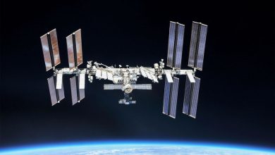 Фото - В NASA рассчитывают на продолжение программы перекрестных полетов России и США