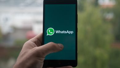 Фото - Депутат Горелкин призвал запретить чиновникам использование WhatsApp в служебных целях