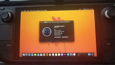 Фото - Энтузиаст установил macOS на консоль Steam Deck