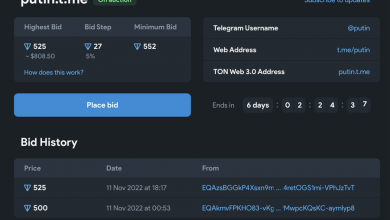 Фото - Пользователи Telegram оценили юзернейм putin дешевле macron и ipad