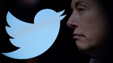 Фото - The Verge: прирост пользователей Twitter при Илоне Маске достиг рекордного уровня