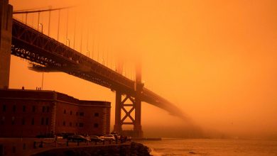 Фото - Ученые из США научили смартфоны предсказывать обрушение мостов